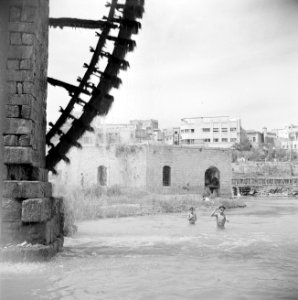 Houten waterrad aan de Orontes in Hama, spelende kinderen in de rivier, Bestanddeelnr 255-6013