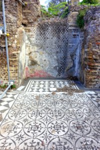 Hospitalia mosaics - Villa Adriana - Tivoli, Italy - DSC03784