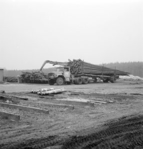 Houtbewerking, vrachtwagens, houtopslagplaatsen, boomstammen, takelwerkzaamheden, Bestanddeelnr 253-5013