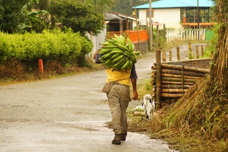 Field finlandia quindio