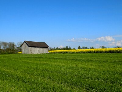 Meadow barn landscape