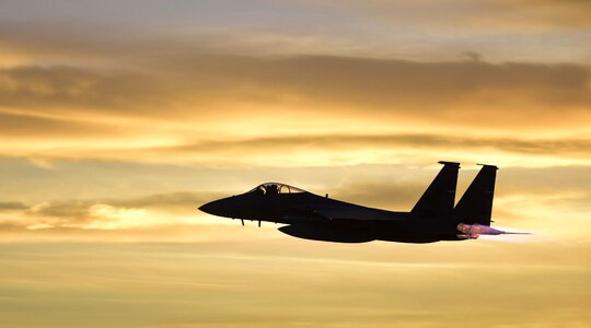 Strike eagle nellis air force base brown eagle