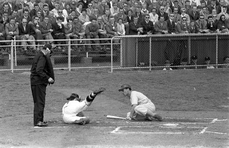 Honkbal Nederland tegen Belgie 8-1 te Haarlem, Bestanddeelnr 911-2565
