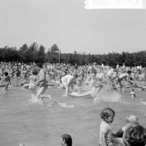 Hoofdstedelingen vluchten voor warmte, drukte in Amsterdams bos, Bestanddeelnr 916-4924