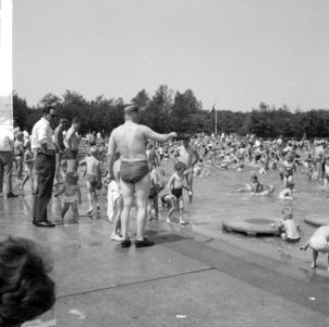 Hoofdstedelingen vluchten voor warmte, drukte in Amsterdams bos, Bestanddeelnr 916-4927