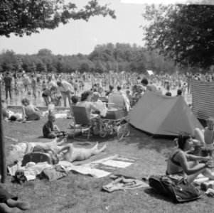 Hoofdstedelingen vluchten voor warmte, drukte in Amsterdams bos, Bestanddeelnr 916-4926