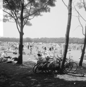 Hoofdstedelingen vluchten voor warmte, drukte in Amsterdams bos, Bestanddeelnr 916-4928