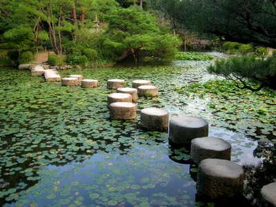 Koi pond heian-jingu shinen trees photo
