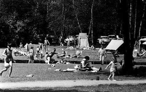 Hoofdstedelingen vluchten voor warmte, drukte in Amsterdams bos, Bestanddeelnr 916-4923