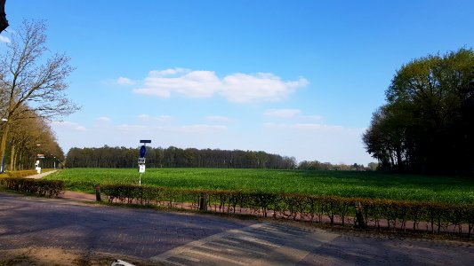 Hoogeloon-Roman villa (1)