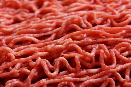 Raw eat food