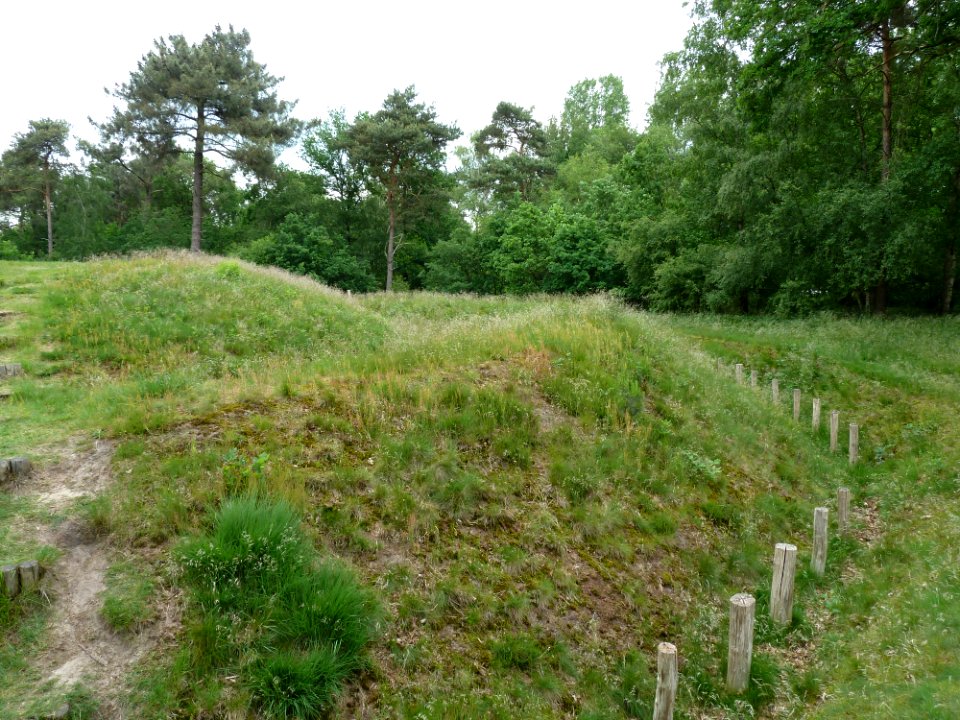 Hoogeloon-Zwarte Berg (3)
