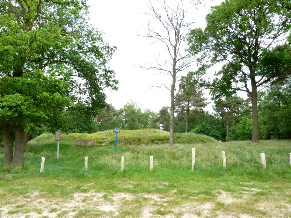 Hoogeloon-Zwarte Berg (1)
