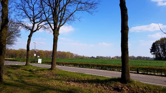 Hoogeloon-Roman villa (3)