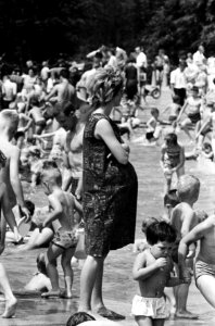 Hoofdstedelingen vluchten voor warmte, drukte in Amsterdams bos, Bestanddeelnr 916-4922