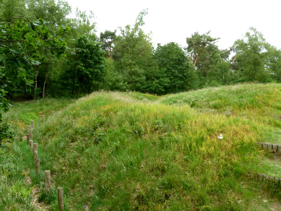 Hoogeloon-Zwarte Berg (2)