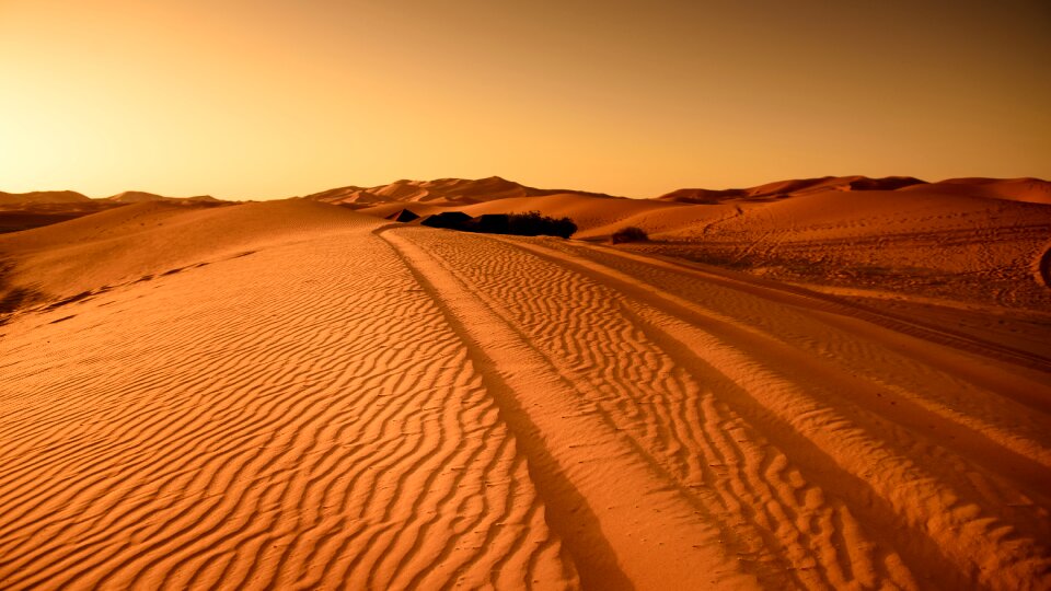 Dry sahara drought photo