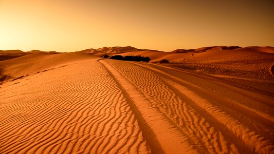 Dry sahara drought photo