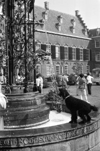 Hond drinkt uit de fontein op het Binnenhof, Bestanddeelnr 931-6272