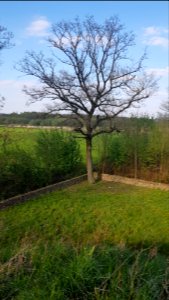 Hoogeloon-Kaboutersberg (11)