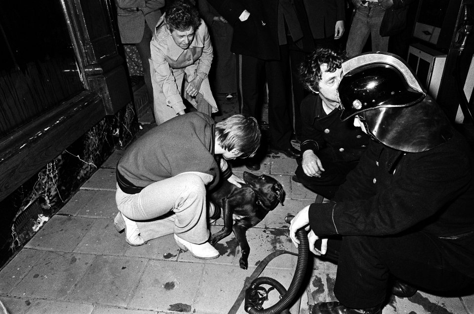 Hond krijgt zuurstof, Bestanddeelnr 930-2164
