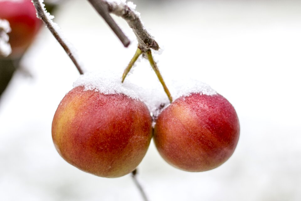 Winter snow ice