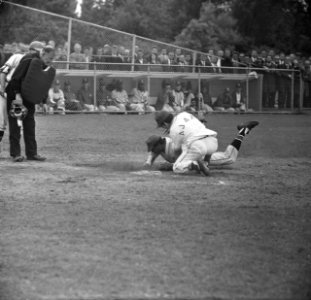 Honkbal Ajax tegen Sparta 0-24, Arindell (Sparta) wordt op thuisplaat uitgetikt , Bestanddeelnr 917-9539
