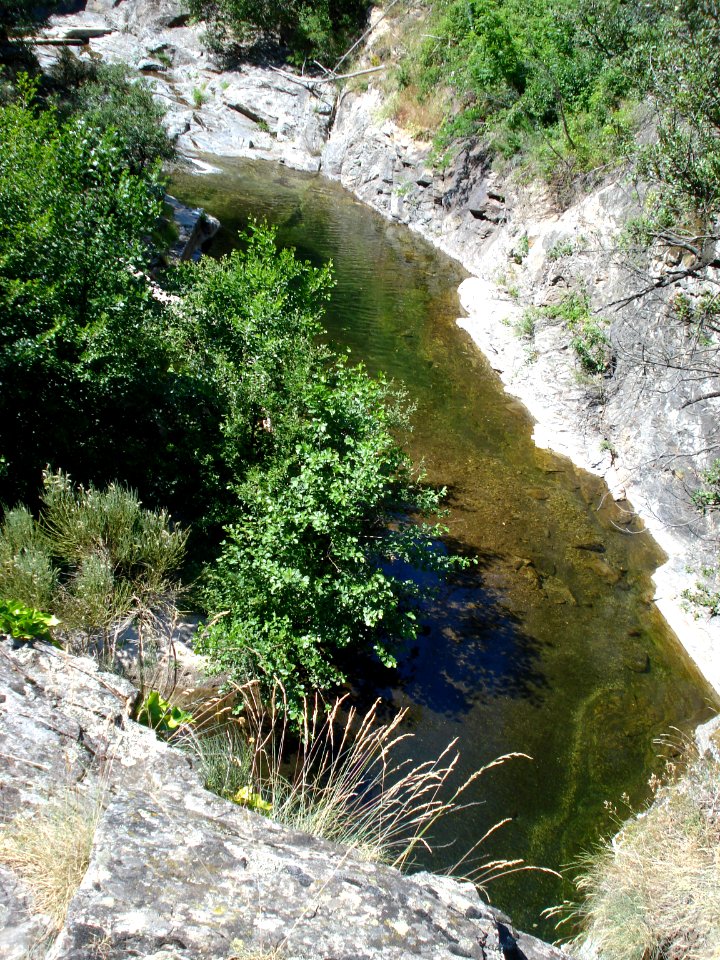 Homol river near Génolhac (Gard, Fr)