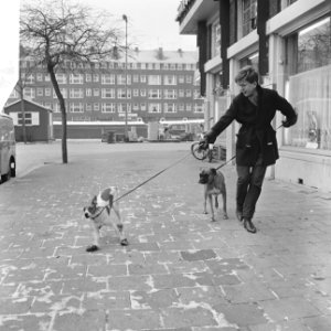 Hond op sokken, op Samuel Mullerplein te Rotterdam, baas en hond, Bestanddeelnr 918-7014