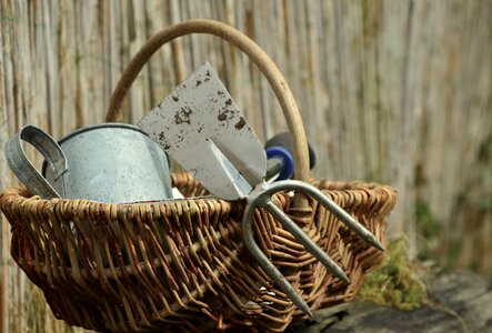 Garden tools sow plant