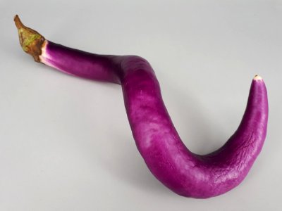 Hook-spiral Orient Charm eggplant 2017 A1