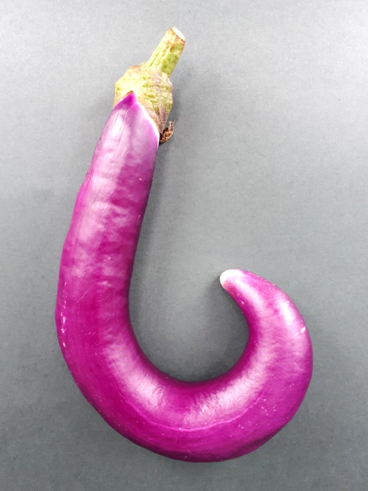 Hook-shaped Orient Charm eggplant 2017