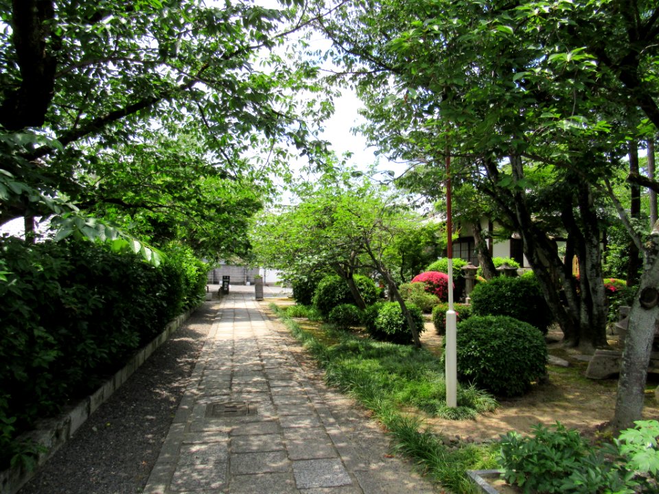 Honman-ji Kyoto 009