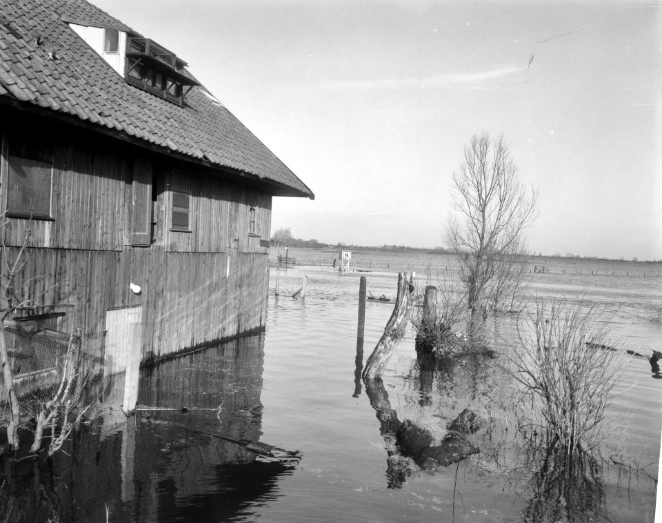 Hoogwater in de omgeving van Zwolle ondergelopen schuur, Bestanddeelnr 918-5497