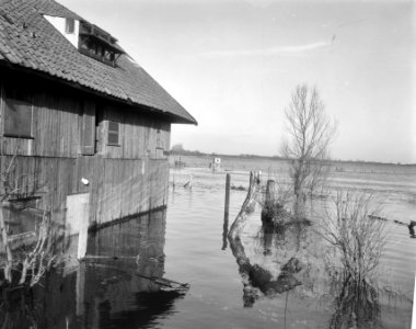 Hoogwater in de omgeving van Zwolle ondergelopen schuur, Bestanddeelnr 918-5497