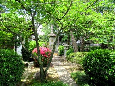 Honman-ji Kyoto 005