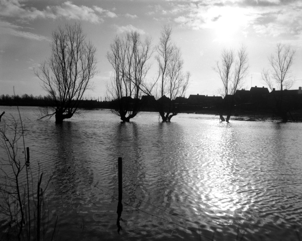 Hoogwater in de omgeving van Zwolle, Bestanddeelnr 918-5495