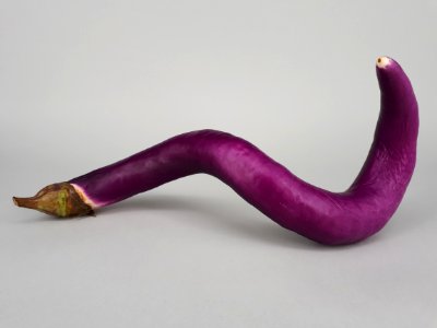 Hook-spiral Orient Charm eggplant 2017 A3