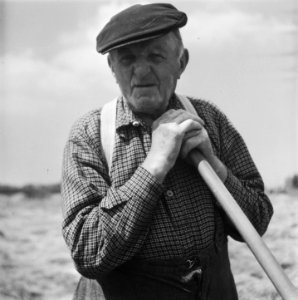 Hooitijd, Bestanddeelnr 902-2227