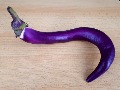 Hook-spiral Orient Charm eggplant 2017 B2