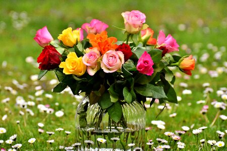 Vase colorful gift