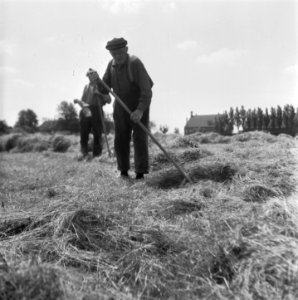 Hooitijd, Bestanddeelnr 902-2224