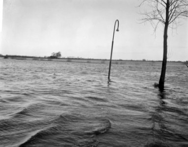 Hoogwater in de omgeving van Zwolle, de IJssel op zijn breedst, Bestanddeelnr 918-5492
