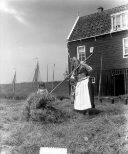 Hooitijd op eiland Marken, Bestanddeelnr 905-7747