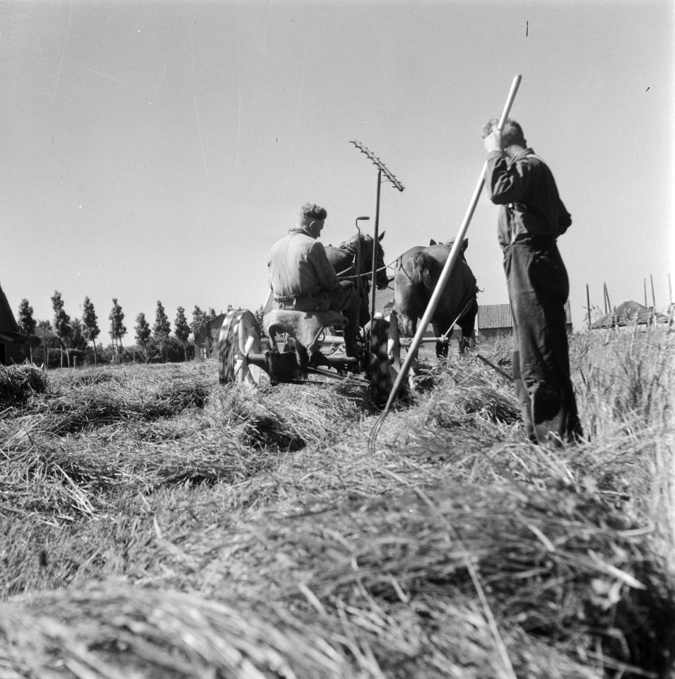 Hooitijd. Het maaien van het gras, Bestanddeelnr 902-2217