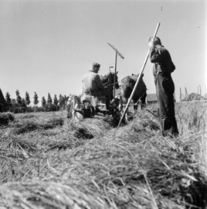Hooitijd. Het maaien van het gras, Bestanddeelnr 902-2217