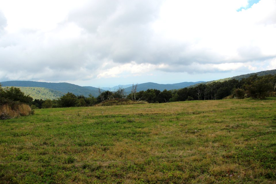 Hooper Bald summit, Sept 2019 3