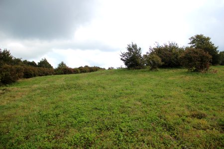 Hooper Bald summit, Sept 2019 4