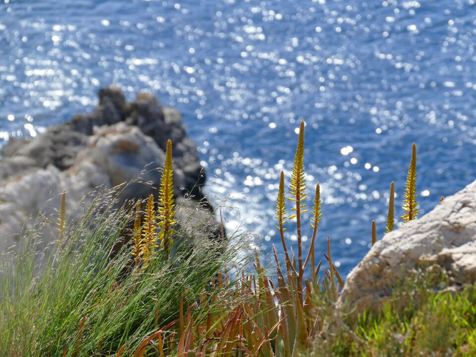 Mediterranean sea vacations