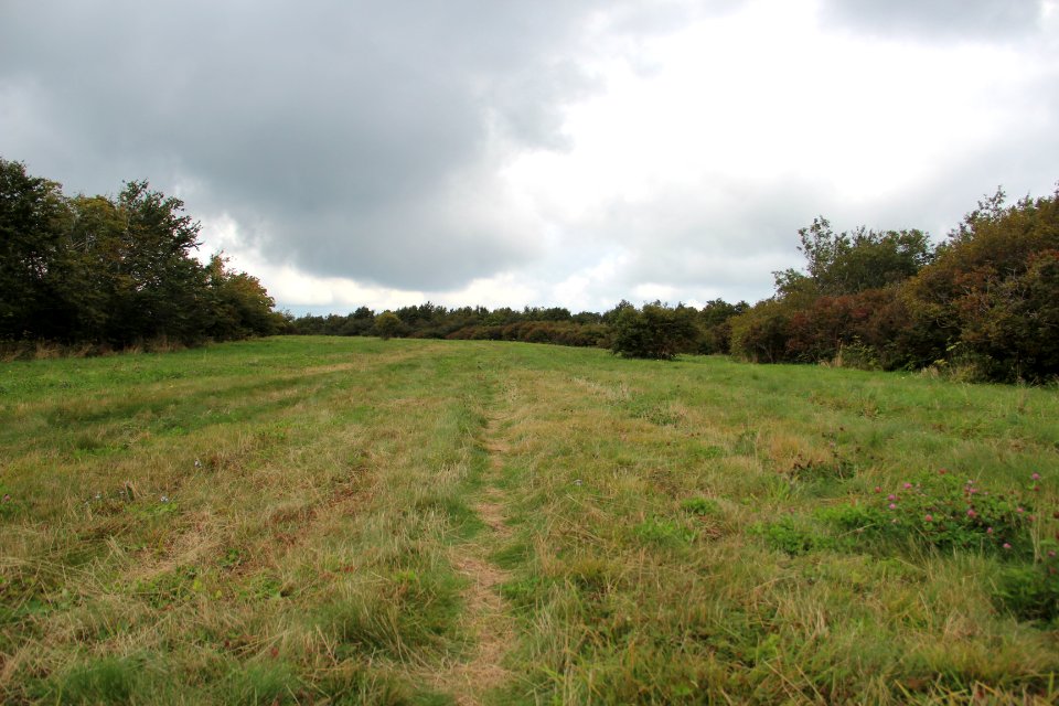 Hooper Bald summit, Sept 2019 6